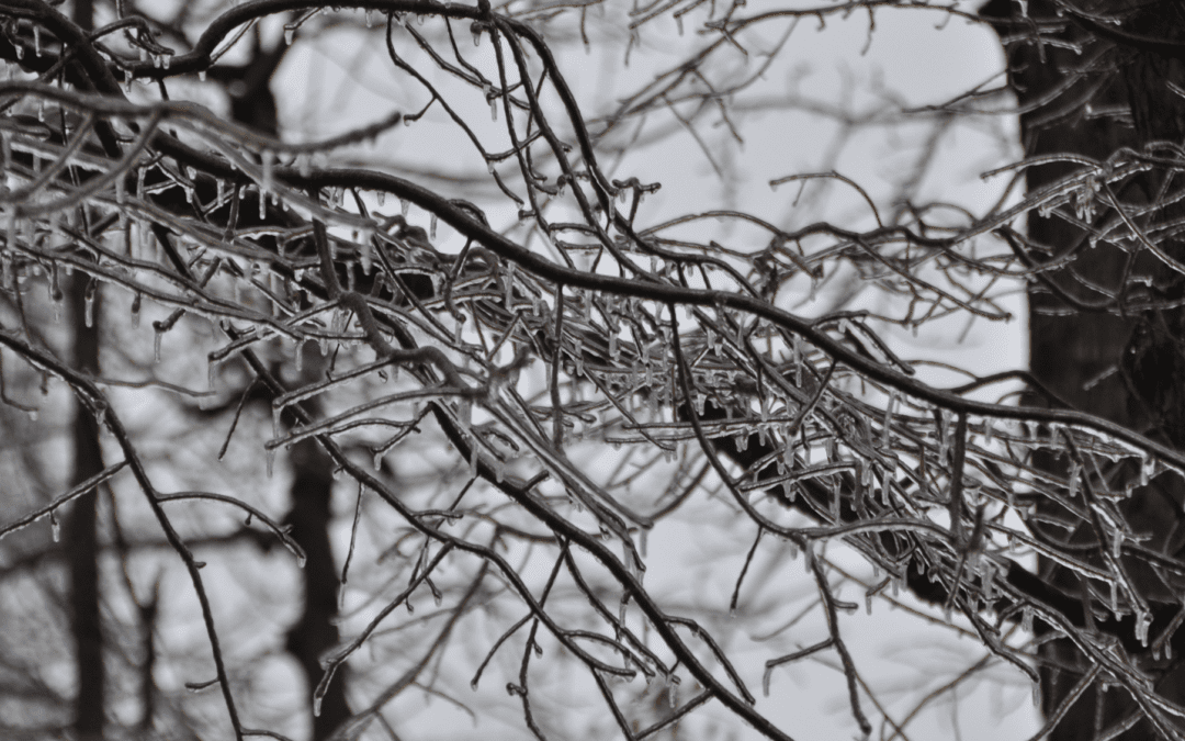 The Great Richmond Ice Storm of Christmas 1998