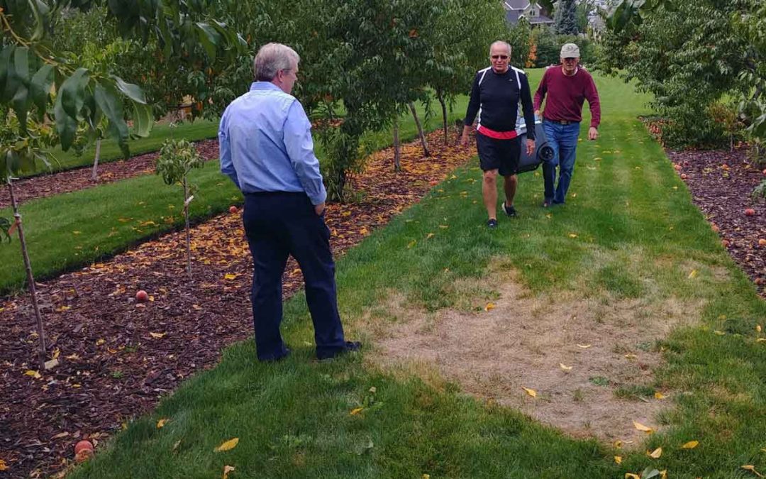 Three men in a peach orchard. Two of the men carry a basket to pick peaches