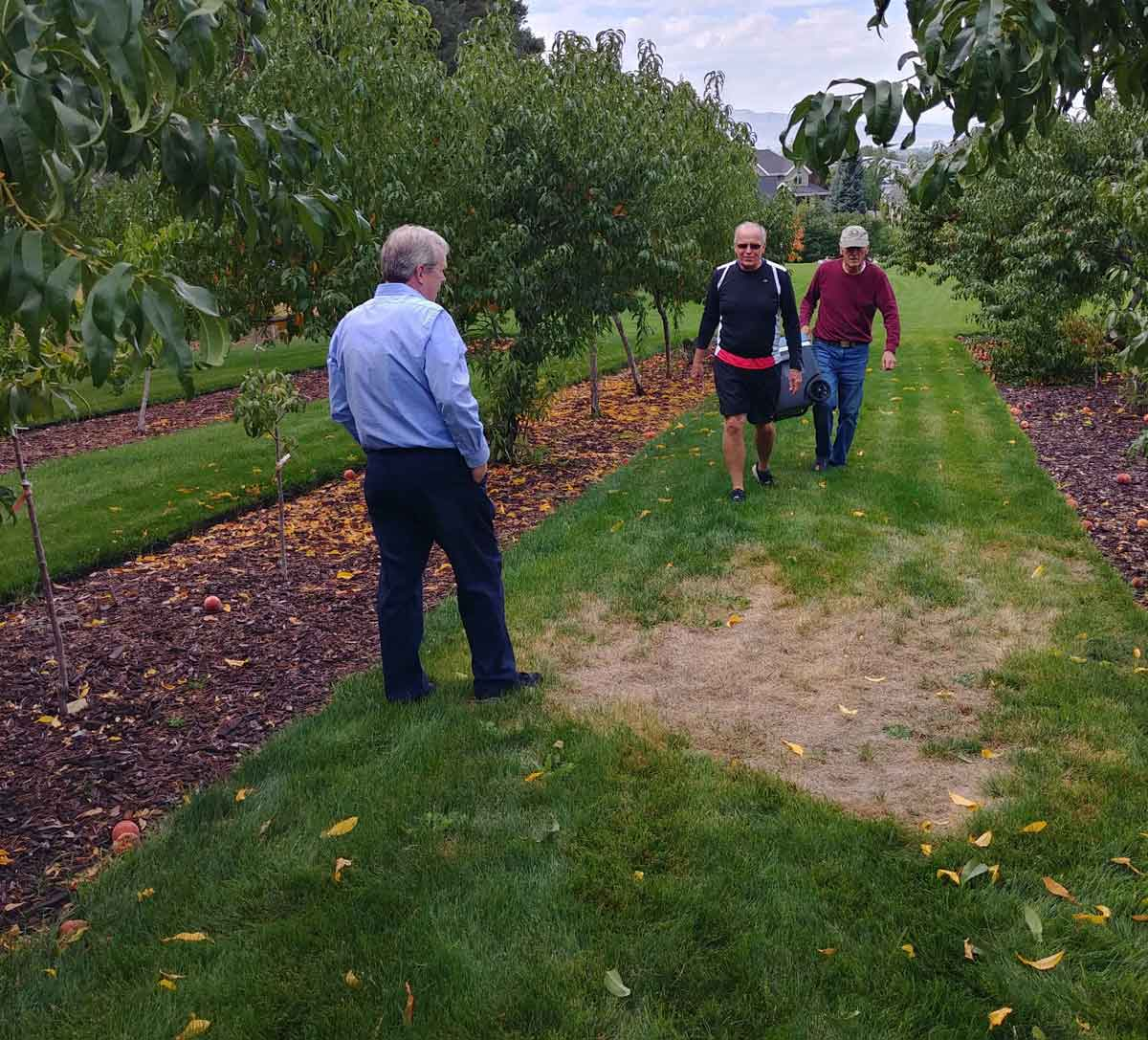 Three men in a peach orchard. Two of the men carry a basket to pick peaches